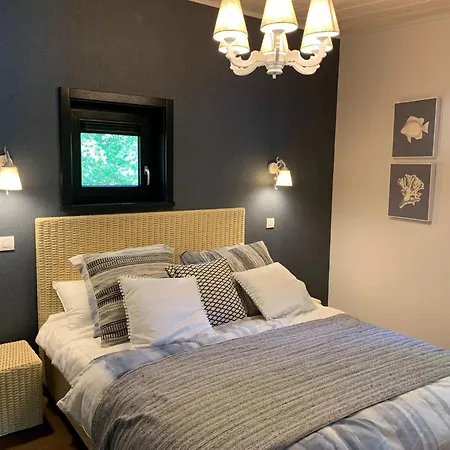 Mansion With Garden View Vakantiehuis Antoing