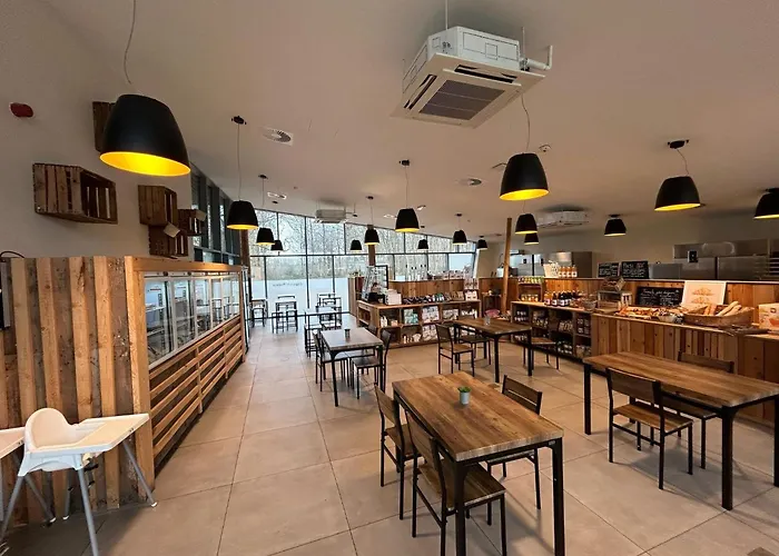 Mansion With Garden View